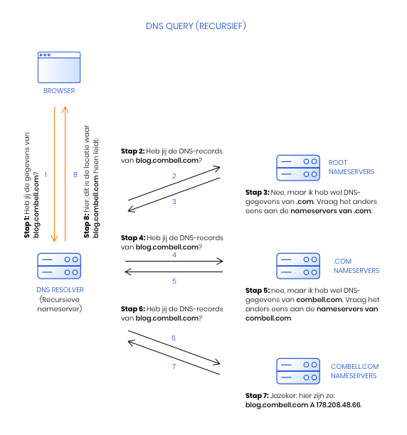 dns query dns query